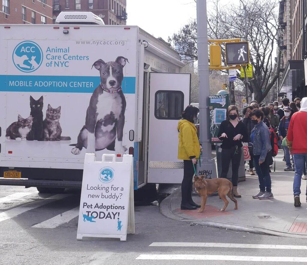 Animal Care Centers of NYC NYC's Largest Animal Shelter