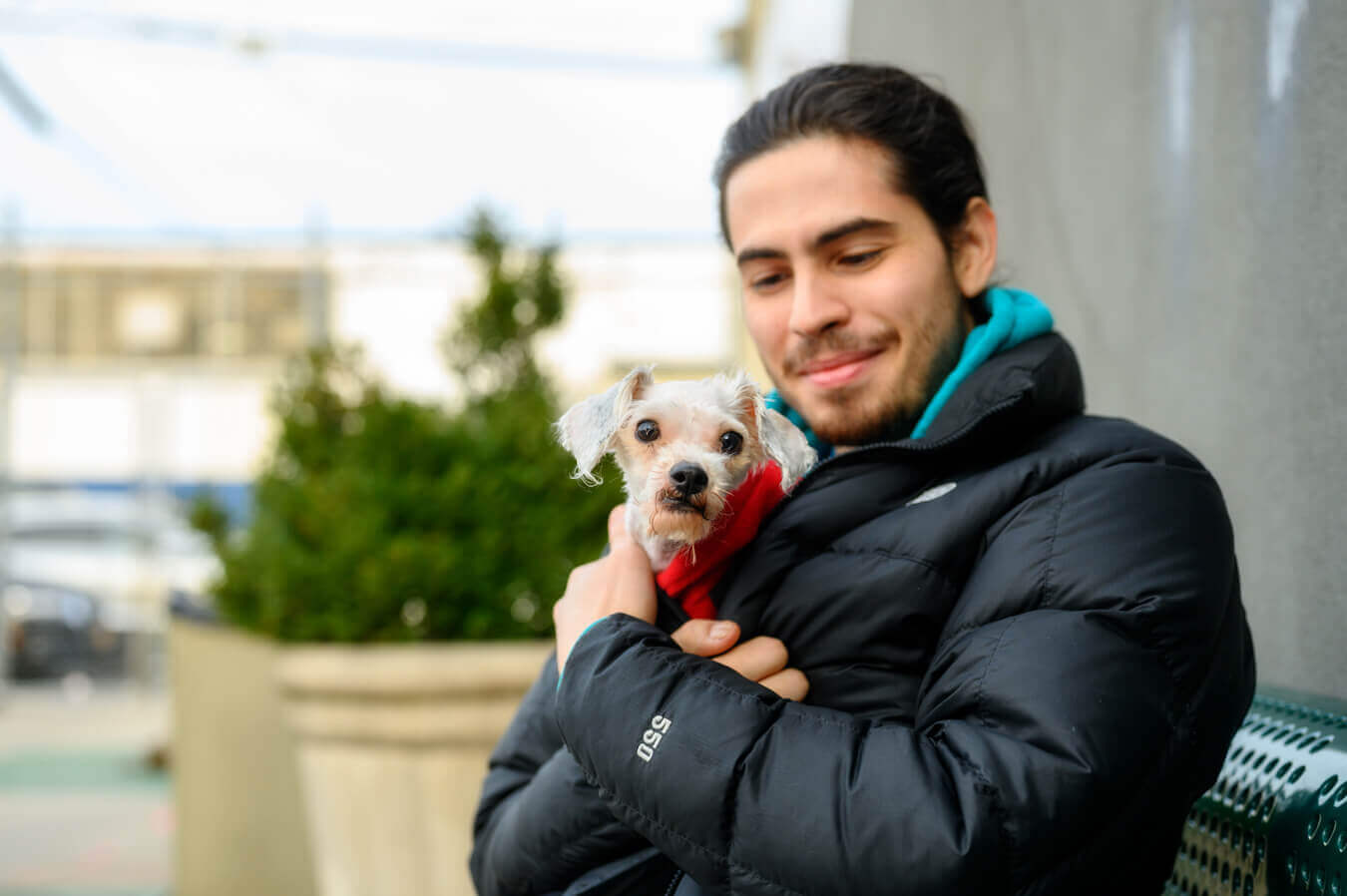 Animal Care Centers of NYC hero image